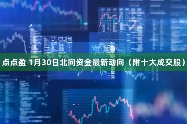 点点盈 1月30日北向资金最新动向（附十大成交股）