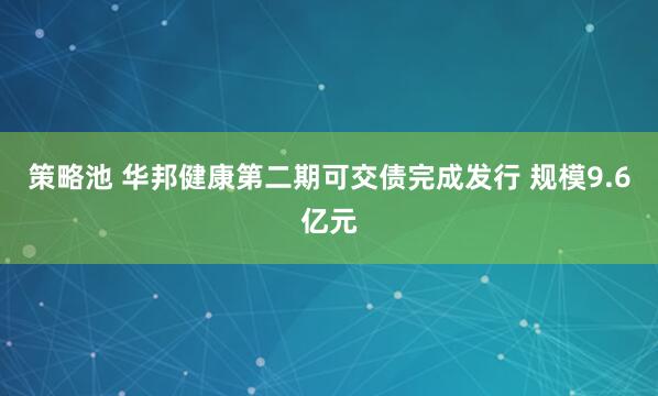 策略池 华邦健康第二期可交债完成发行 规模9.6亿元